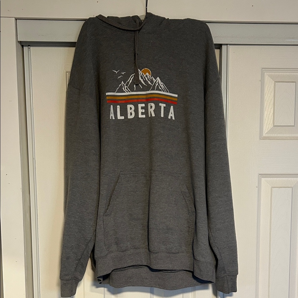 Ambition Gray Alberta Hoodie